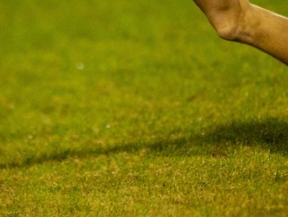 FHSAA releases final boys soccer rankings of 2024-25 season